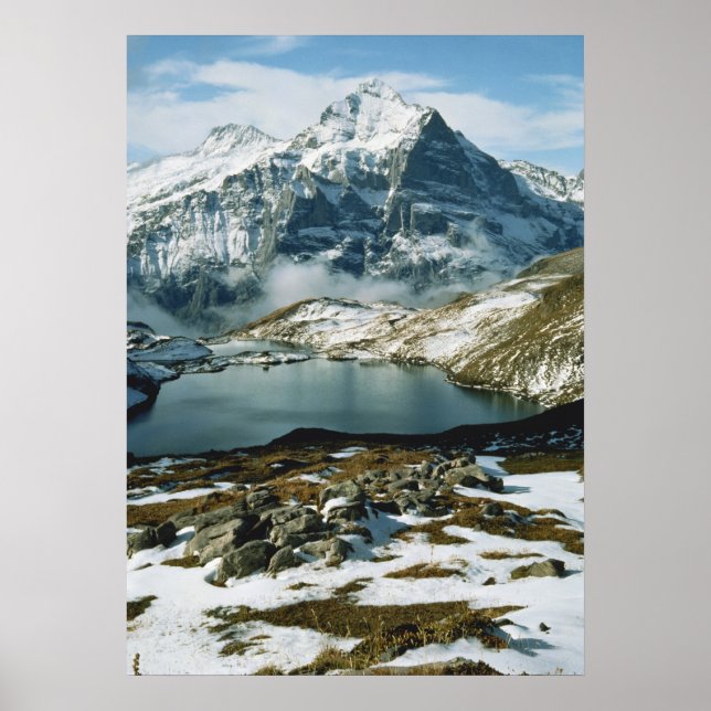 Póster Suiza, Grindelwald, Alpes Berneses, Vista (Frente)