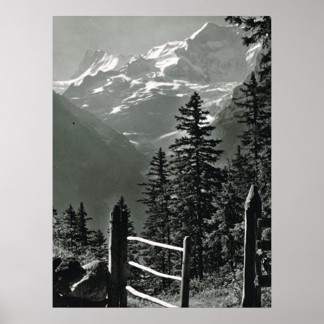 Póster Suiza vintage, gama Jungfrau (Frente)