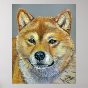 Póster Suki - Shiba Inu