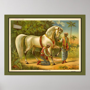 Póster Sultans Steed RARE VINTAGE POSTER Personalizado