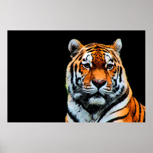 Póster Sumatran Borneo Tiger