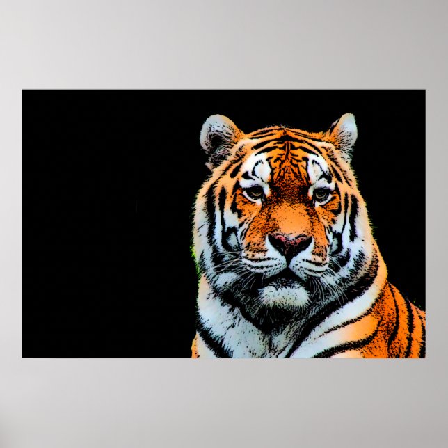 Póster Sumatran Borneo Tiger (Frente)
