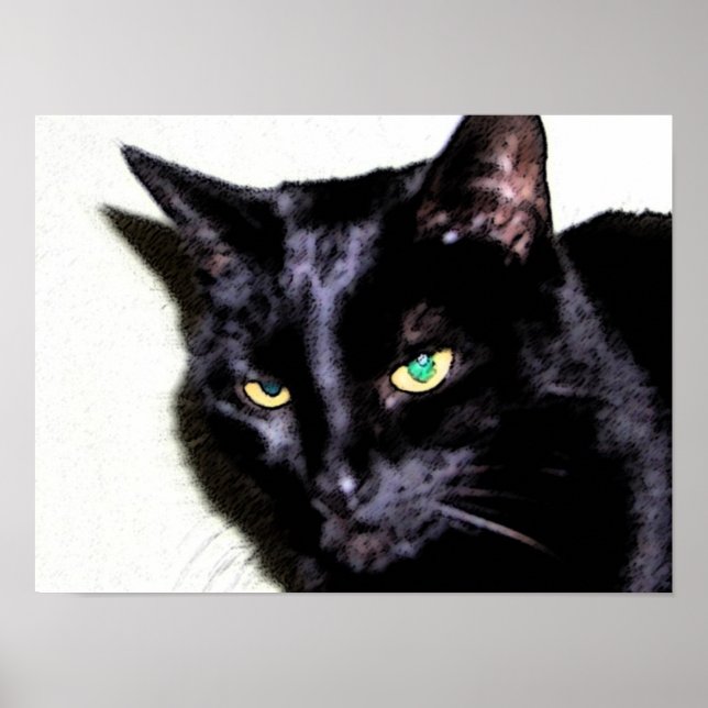 Póster Sumio de gato negro (Frente)