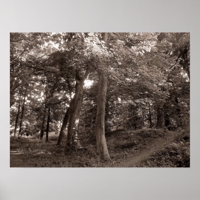 Póster Summer in the Wood - Warm Toned (Frente)