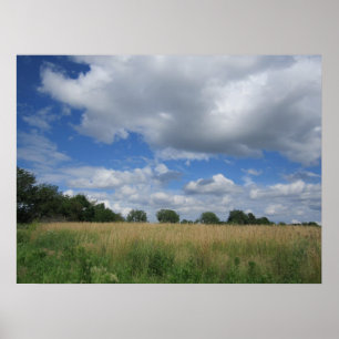 Póster Summer Iowa Prairie Poster