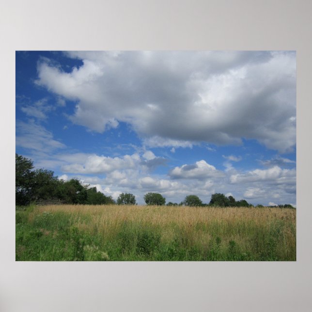 Póster Summer Iowa Prairie Poster (Frente)