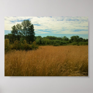 Póster Summer Meadow