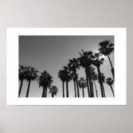 Póster Summer Ocean Palms Black and White Photography