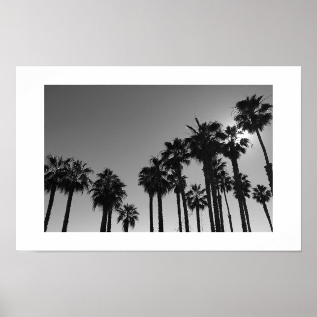 Póster Summer Ocean Palms Black and White Photography (Frente)