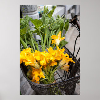 Póster Summer Zuchinni Blossoms Poster