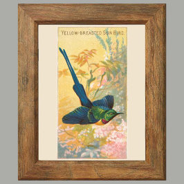 Póster Sun Bird, conjunto de 6 paredes de la galería de p