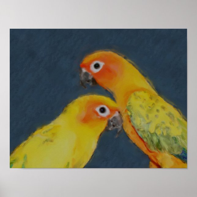 Póster Sun Conure Parrot Parrot Bird Art (Frente)