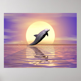 Póster Sun Dolphin