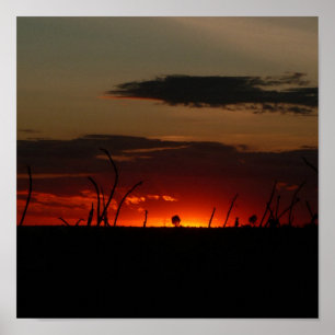 Póster Sun rojo