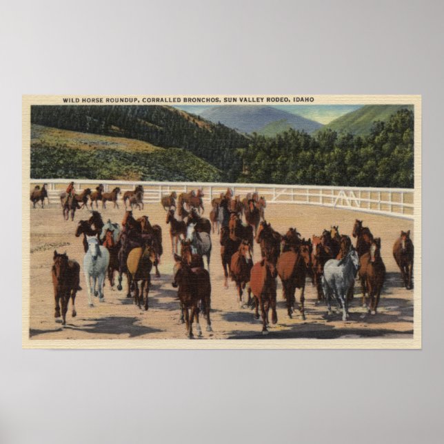 Póster Sun Valley, ID - Wild Horse Roundup (Frente)
