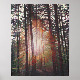 Póster Sunburst 2010