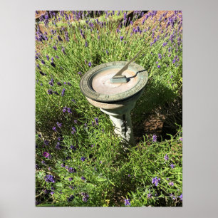 Póster Sundial en Lavender
