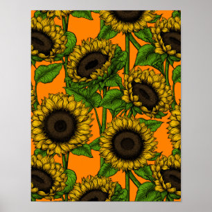 Póster Sunflower