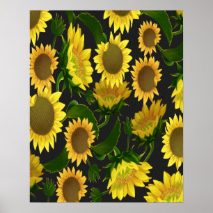 Póster Sunflower