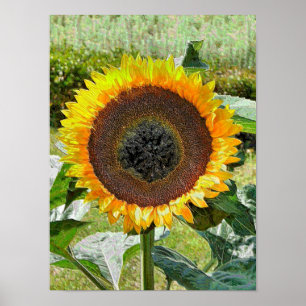 PÓSTER SUNFLOWER