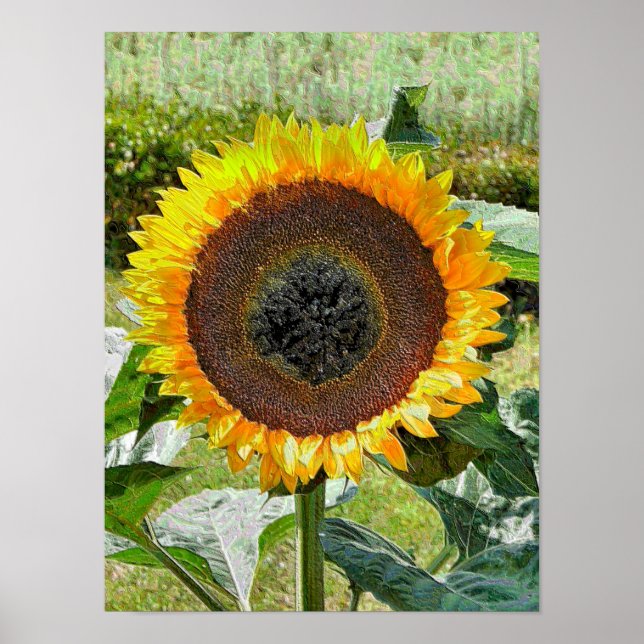 PÓSTER SUNFLOWER (Frente)