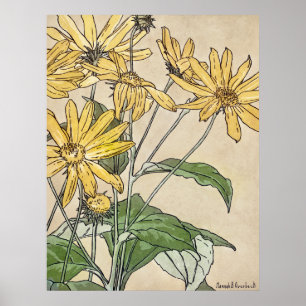 Póster Sunflower