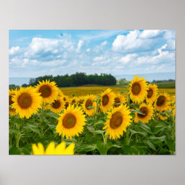 Póster Sunflower increíble