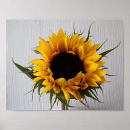 Póster Sunflower Poster