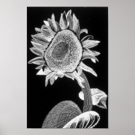 Póster Sunflower print - art for charity