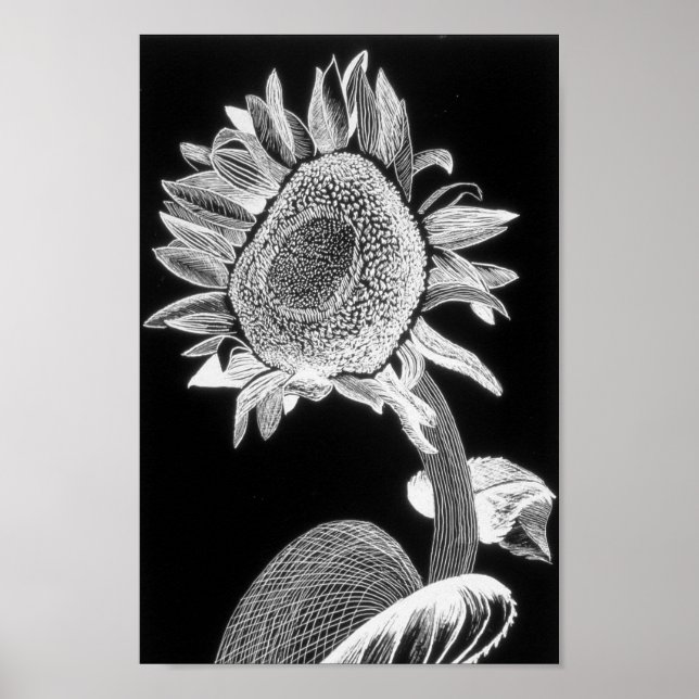 Póster Sunflower print - art for charity (Frente)