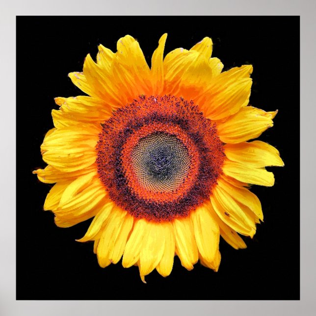 PÓSTER SUNFLOWERS (Frente)
