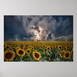 Póster Sunflowers In A Storm