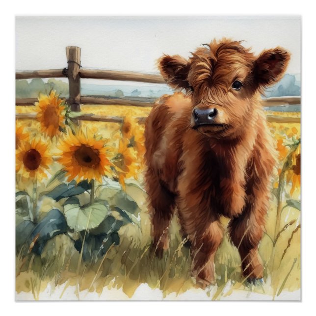 Póster Sunflowers y Highland Calf (Anverso)