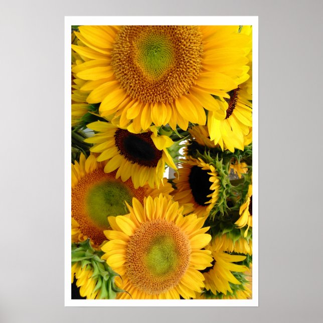 Póster Sunflowers Yellow Bunch of Happiness (Frente)