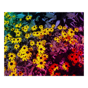 Póster Sunlit Meadow