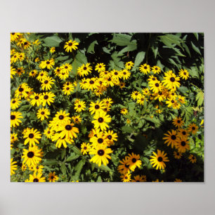 Póster Sunlit Meadow