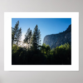 Póster Sunlit Trees Yosemite Color Photography