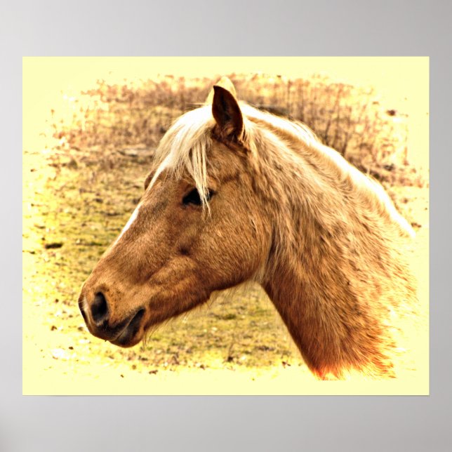 Póster Sunny Blonde y Brown Horse Animal Poster (Frente)