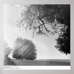 Póster Sunny Day, Universidad de California, Santa Cruz