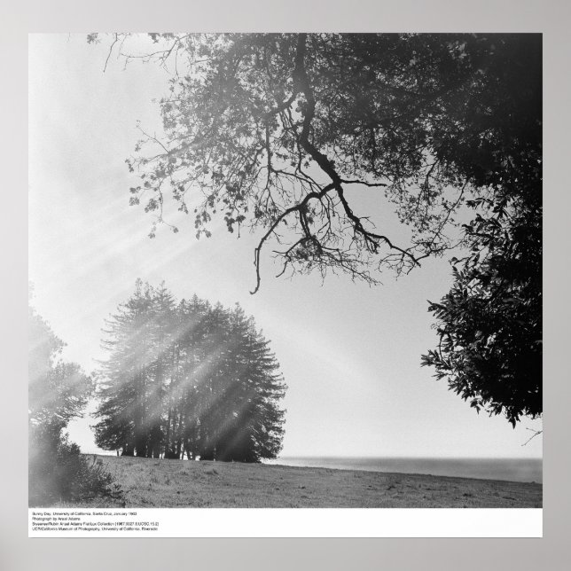 Póster Sunny Day, Universidad de California, Santa Cruz (Frente)