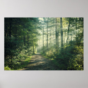 Póster Sunny October Morning in Hamburg