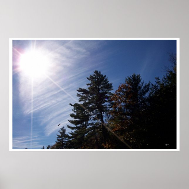 Póster Sunrays (Frente)