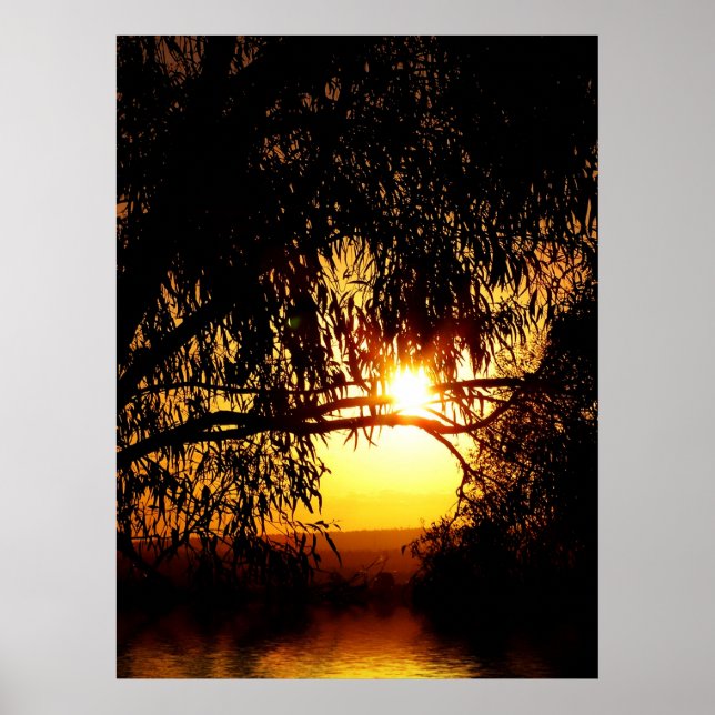 Póster Sunrealismo : Ferntree Gully Poster (Frente)