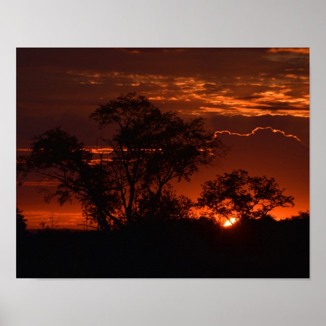 Póster Sunrise (Frente)