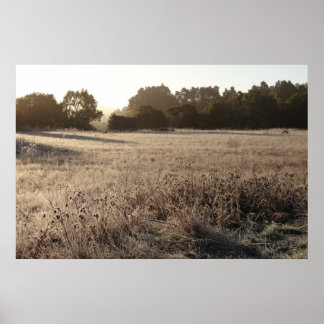 Póster Sunrise at Bear Valley Trailhead Landscape