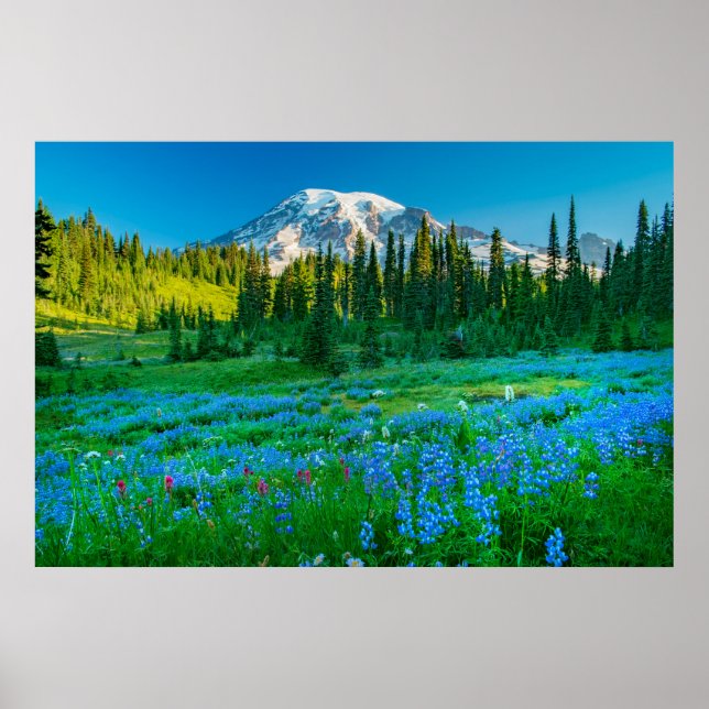 Póster Sunrise Lupine and Mount Rainer (Frente)