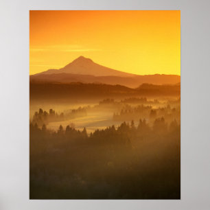 Póster Sunrise orange colors the fog in the valley in