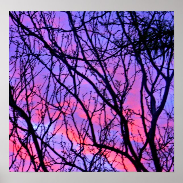 Póster Sunrise Silohuette (Frente)