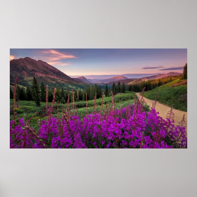 Póster Sunrise silvestre | Crested Butte, Colorado (Frente)