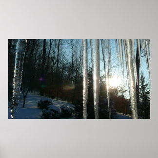 Póster Sunrise Through Icicles Winter Nature Photography